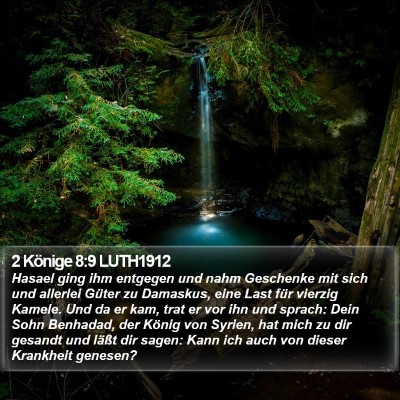 2 Könige 8:9 LUTH1912 Bible Verse Image