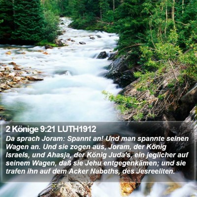 2 Könige 9:21 LUTH1912 Bible Verse Image