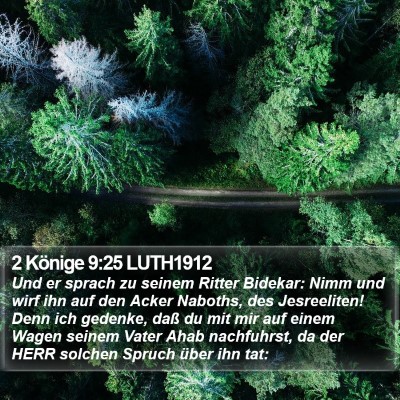 2 Könige 9:25 LUTH1912 Bible Verse Image