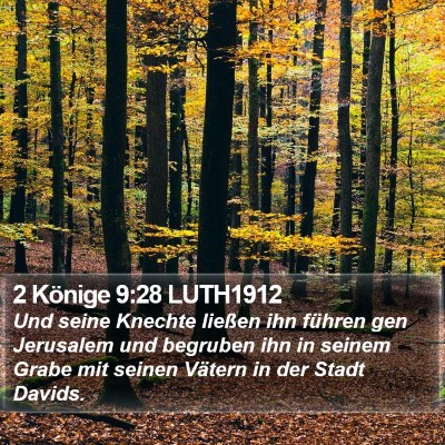 2 Könige 9:28 LUTH1912 Bible Verse Image