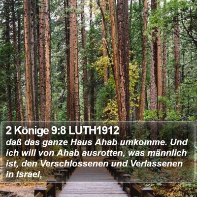2 Könige 9:8 LUTH1912 Bible Verse Image