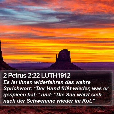 2 Petrus 2:22 LUTH1912 Bible Verse Image