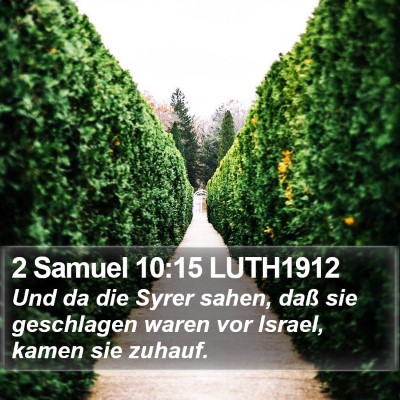 2 Samuel 10:15 LUTH1912 Bible Verse Image