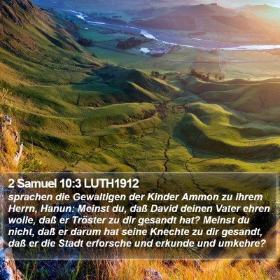 2 Samuel 10:3 LUTH1912 Bible Verse Image