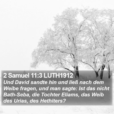 2 Samuel 11:3 LUTH1912 Bible Verse Image