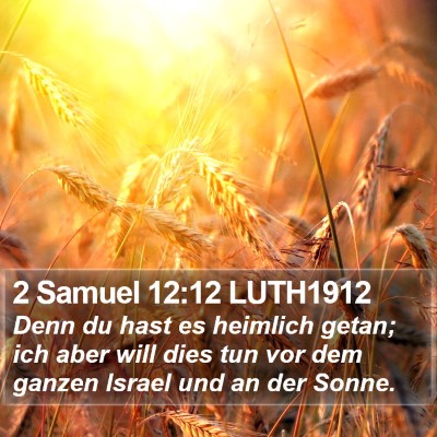 2 Samuel 12:12 LUTH1912 Bible Verse Image