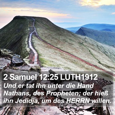 2 Samuel 12:25 LUTH1912 Bible Verse Image