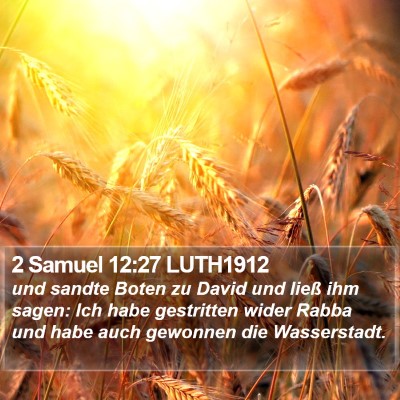 2 Samuel 12:27 LUTH1912 Bible Verse Image