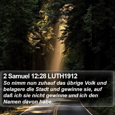 2 Samuel 12:28 LUTH1912 Bible Verse Image
