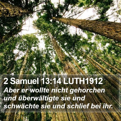 2 Samuel 13:14 LUTH1912 Bible Verse Image