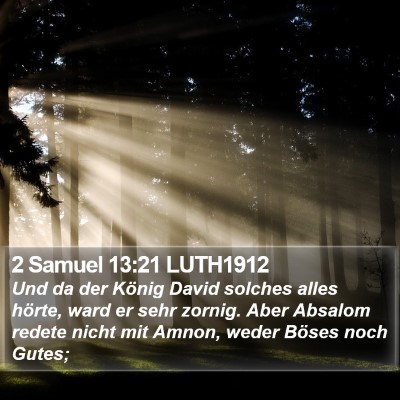 2 Samuel 13:21 LUTH1912 Bible Verse Image