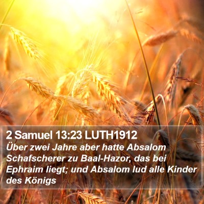 2 Samuel 13:23 LUTH1912 Bible Verse Image