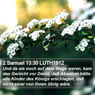 2 Samuel 13:30 LUTH1912 Bible Verse Image