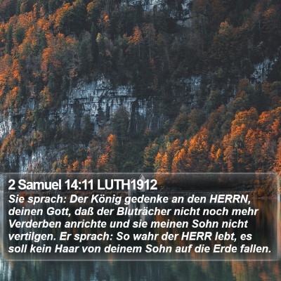 2 Samuel 14:11 LUTH1912 Bible Verse Image