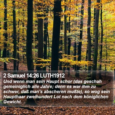 2 Samuel 14:26 LUTH1912 Bible Verse Image