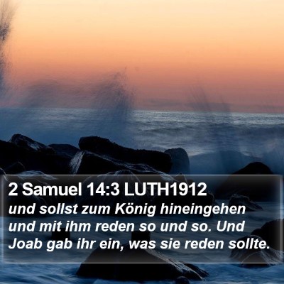 2 Samuel 14:3 LUTH1912 Bible Verse Image