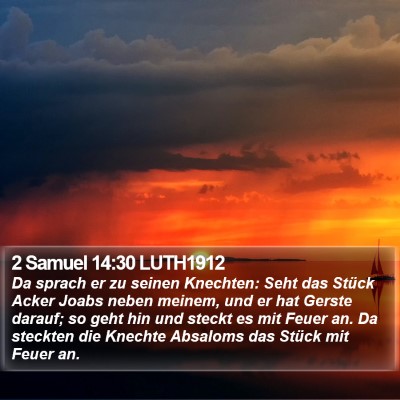 2 Samuel 14:30 LUTH1912 Bible Verse Image