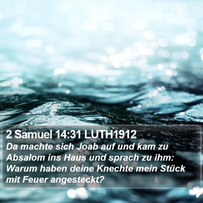 2 Samuel 14:31 LUTH1912 Bible Verse Image