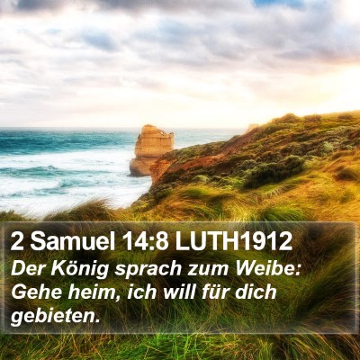 2 Samuel 14:8 LUTH1912 Bible Verse Image