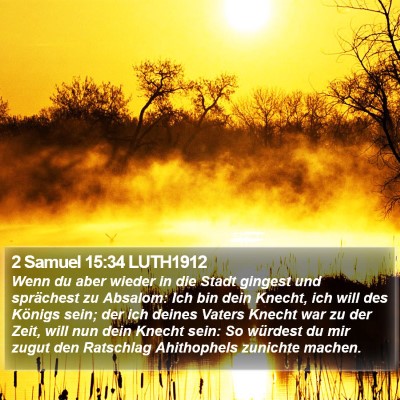 2 Samuel 15:34 LUTH1912 Bible Verse Image