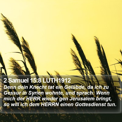 2 Samuel 15:8 LUTH1912 Bible Verse Image