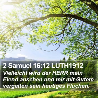 2 Samuel 16:12 LUTH1912 Bible Verse Image