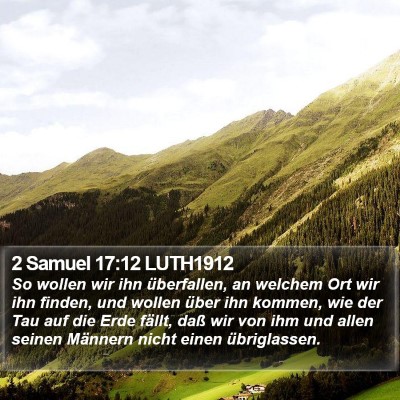 2 Samuel 17:12 LUTH1912 Bible Verse Image