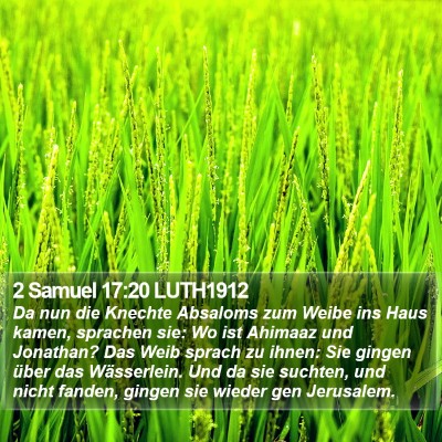 2 Samuel 17:20 LUTH1912 Bible Verse Image