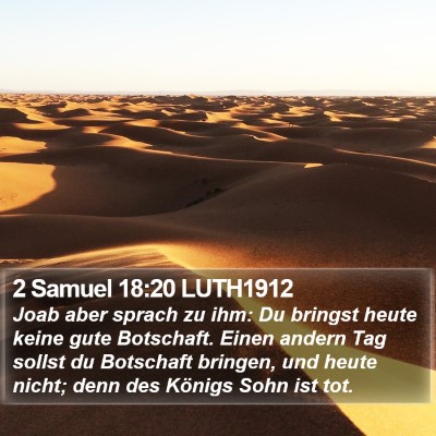 2 Samuel 18:20 LUTH1912 Bible Verse Image