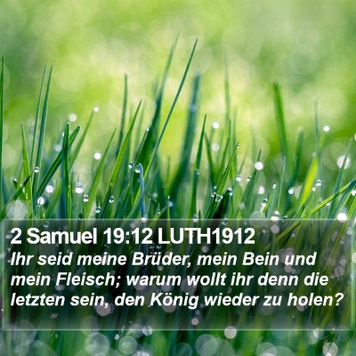 2 Samuel 19:12 LUTH1912 Bible Verse Image