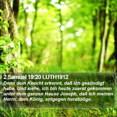 2 Samuel 19:20 LUTH1912 Bible Verse Image