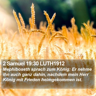 2 Samuel 19:30 LUTH1912 Bible Verse Image