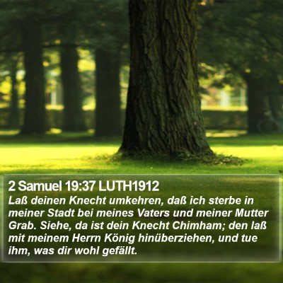 2 Samuel 19:37 LUTH1912 Bible Verse Image