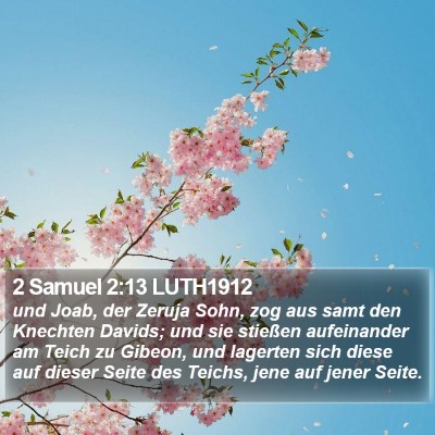 2 Samuel 2:13 LUTH1912 Bible Verse Image