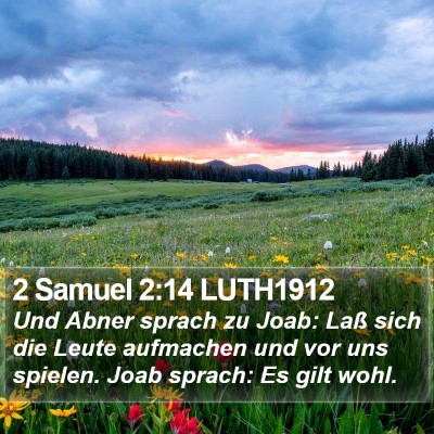 2 Samuel 2:14 LUTH1912 Bible Verse Image