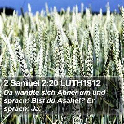 2 Samuel 2:20 LUTH1912 Bible Verse Image