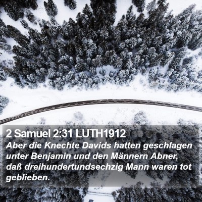 2 Samuel 2:31 LUTH1912 Bible Verse Image