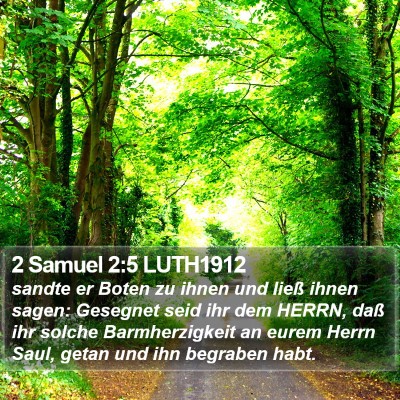 2 Samuel 2:5 LUTH1912 Bible Verse Image