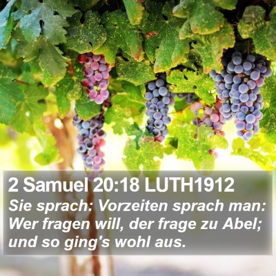 2 Samuel 20:18 LUTH1912 Bible Verse Image