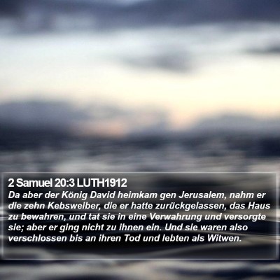 2 Samuel 20:3 LUTH1912 Bible Verse Image