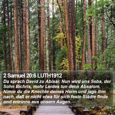 2 Samuel 20:6 LUTH1912 Bible Verse Image