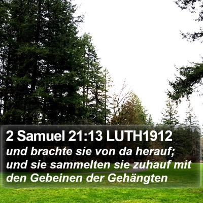2 Samuel 21:13 LUTH1912 Bible Verse Image