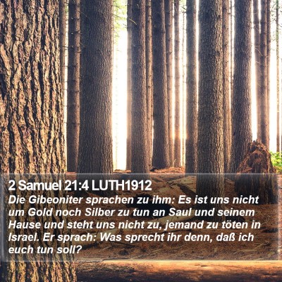 2 Samuel 21:4 LUTH1912 Bible Verse Image