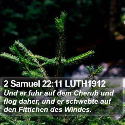 2 Samuel 22:11 LUTH1912 Bible Verse Image