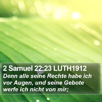 2 Samuel 22:23 LUTH1912 Bible Verse Image