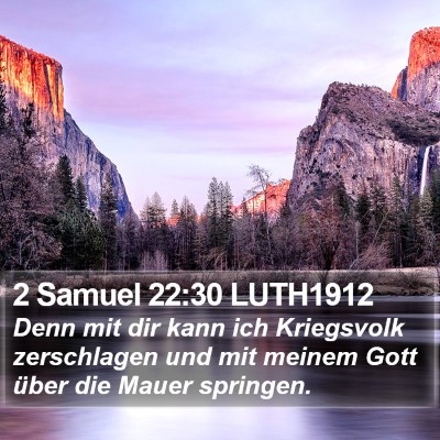 2 Samuel 22:30 LUTH1912 Bible Verse Image