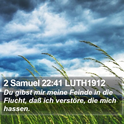2 Samuel 22:41 LUTH1912 Bible Verse Image
