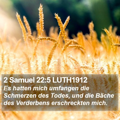 2 Samuel 22:5 LUTH1912 Bible Verse Image