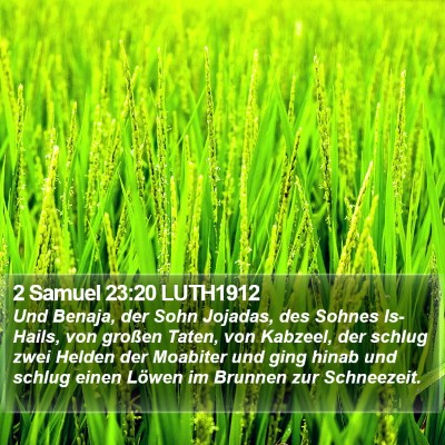2 Samuel 23:20 LUTH1912 Bible Verse Image