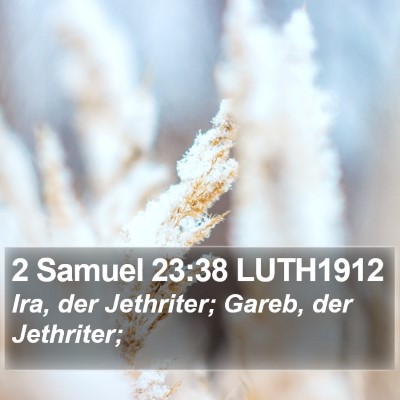 2 Samuel 23:38 LUTH1912 Bible Verse Image